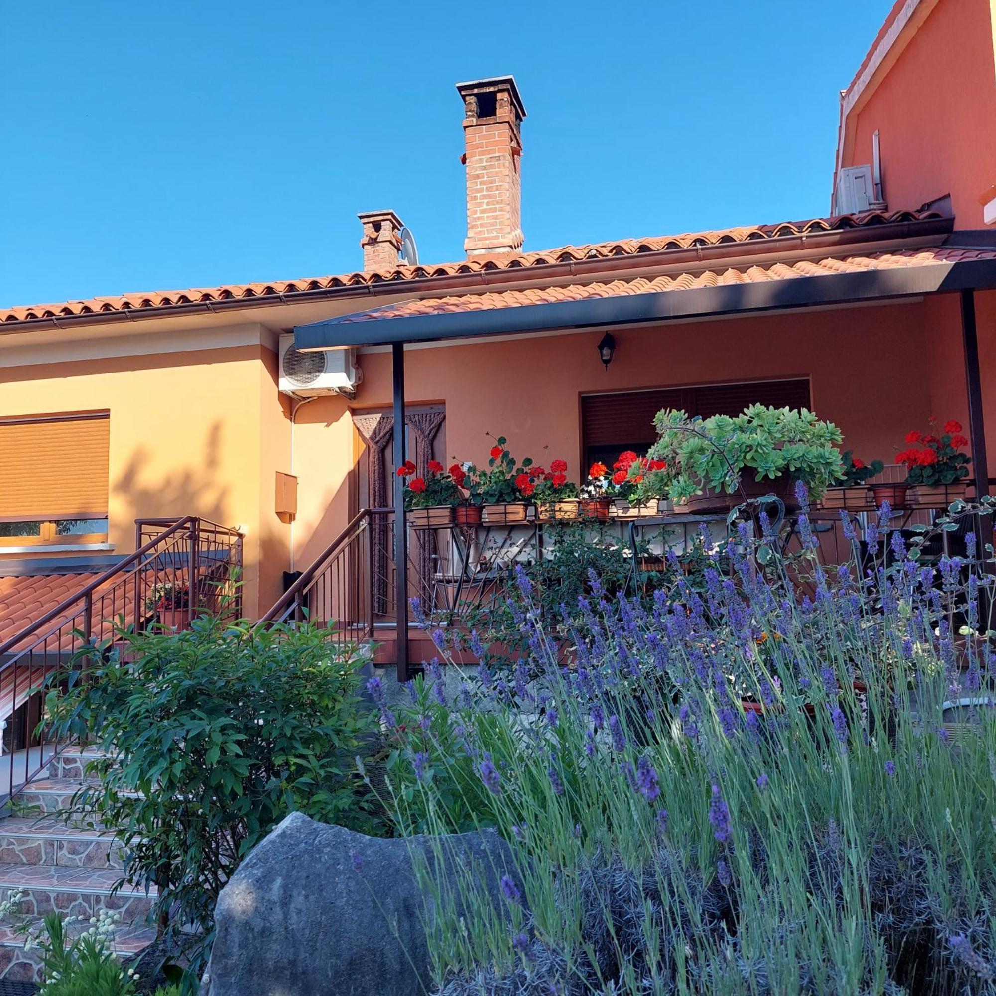 Apartman Branka Labin (Istria) Exterior foto